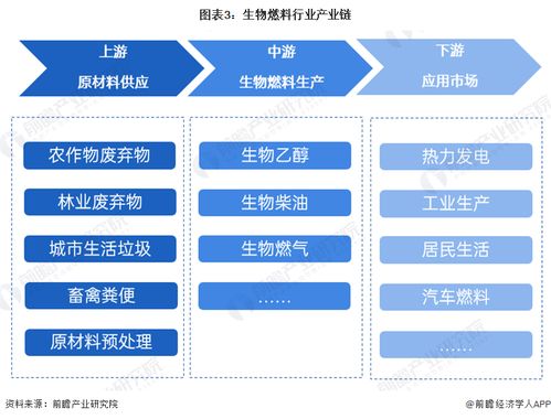 預(yù)見(jiàn)2024 中國(guó)生物燃料行業(yè)全景圖譜與計(jì)算機(jī)硬件開(kāi)發(fā)的融合機(jī)遇